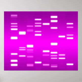 Poster DNA Genético Magenta Rosa