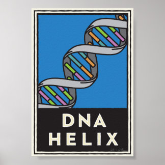 Poster DNA Helix
