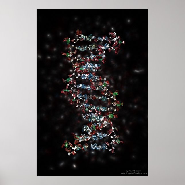 Poster DNA Selvagem (Frente)