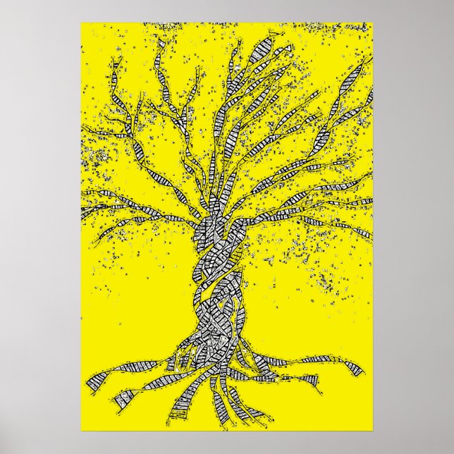 Poster DNA TREE ou Árvore da Vida (Frente)