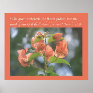 Poster do 40:8 de Isaiah (Bougainvilleas do por do