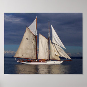 Poster do Adventuress