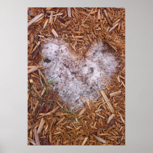 Poster do amor do Mulch por tasullivan