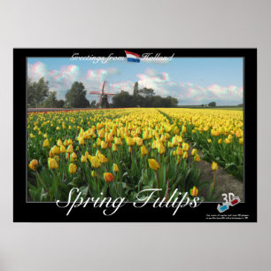Poster do Anaglyph da paisagem 3D das tulipas do