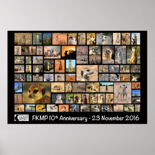 Poster do aniversário de FKMP 10o - selecione seu
