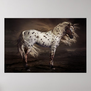 Poster do Appaloosa do leopardo