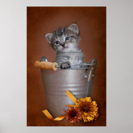 Poster do Autumn Kitten