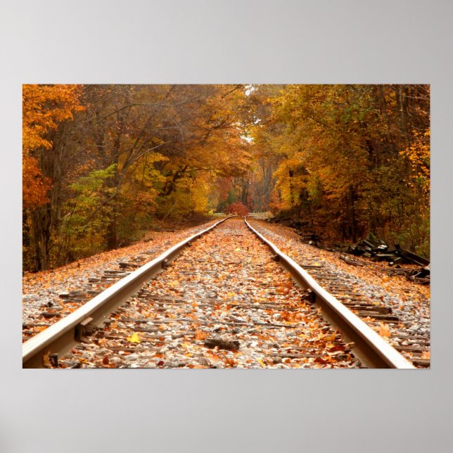 Poster do Autumn Tracks (Frente)