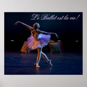 Poster do balé