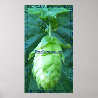 Poster do BeerContinuum