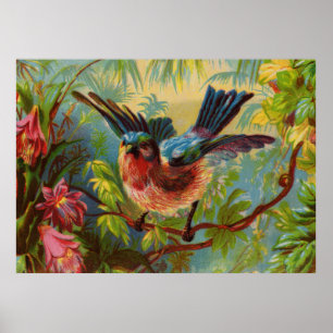 Poster do Bluebird do verão grande