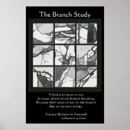Poster do Branch Study