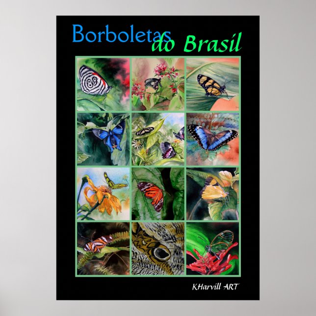 Poster do Brasil (Frente)
