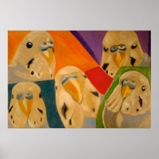 Poster do Bugerigar do Orçamento