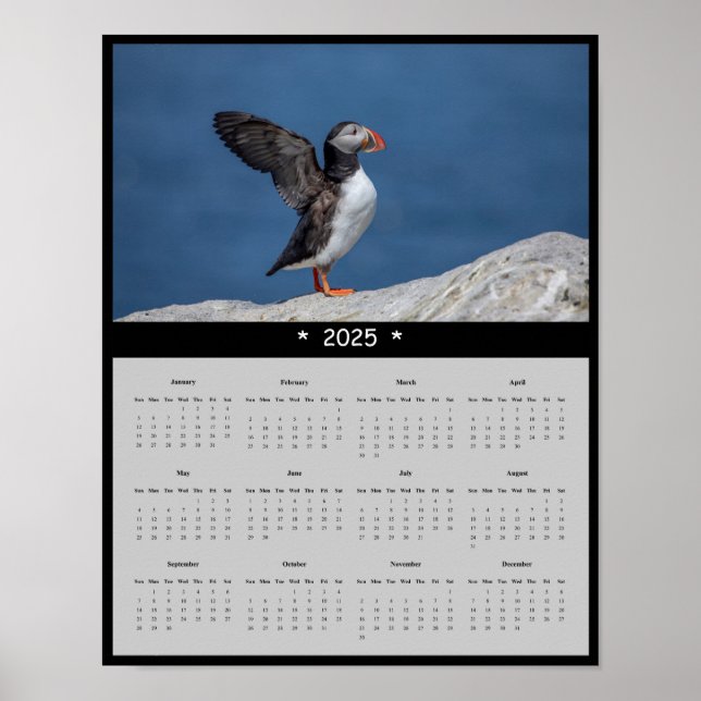 poster do Calendário 2025 Atlantic Puffin no Maine (Frente)