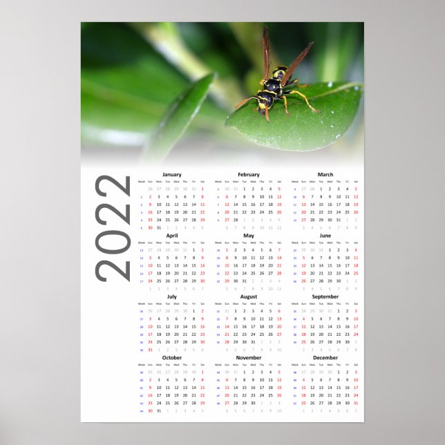 Poster do Calendário do Wasp 2022 - Início do Domi (Frente)