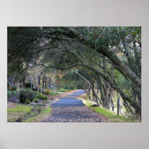 Poster Do "caminhada outono "