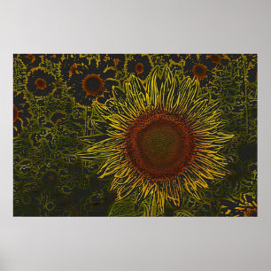 Poster do campo 36 x 24 do girassol