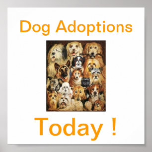 Poster Do cão das adopções sinais hoje