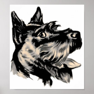 Poster do cão de Scotty