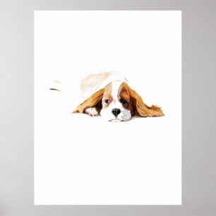 Pôster do Cavalier King, Arte de Parede de Cachorr