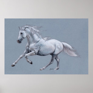 Poster do cavalo branco