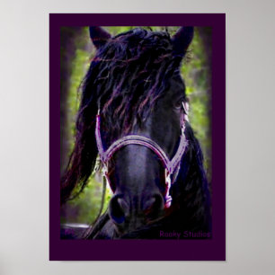 Poster do cavalo do frisão