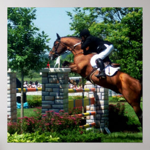 Poster do Cavalo do Grande Prêmio