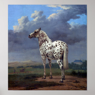 Poster do cavalo do vintage