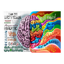 Poster do Cérebro Esquerdo Direito