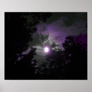 Poster do céu nocturno