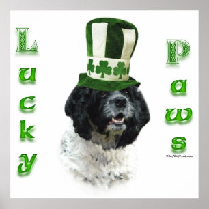 Poster do Cocker Spaniel Lucky Paws