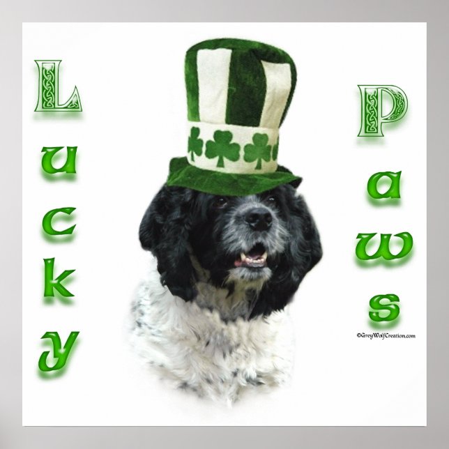 Poster do Cocker Spaniel Lucky Paws (Frente)
