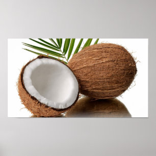 Poster do coco