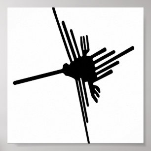 Poster do colibri de Nazca
