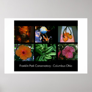 Poster do conservatório do parque de Franklin