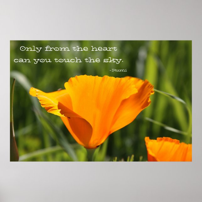 Pôster Do Coração (Frente)