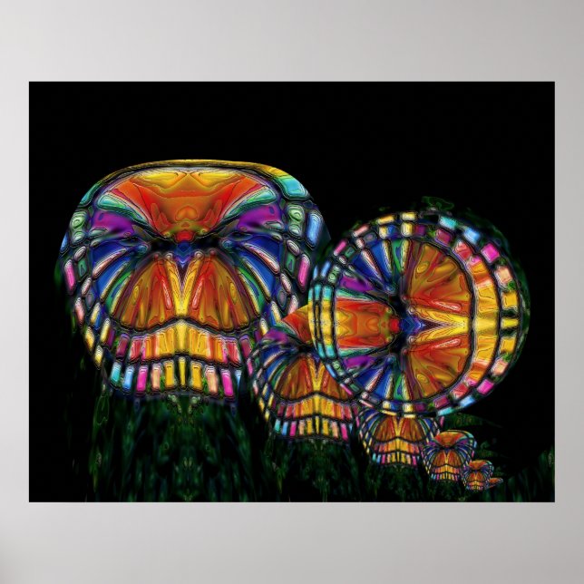 Poster do Coral Garden (Frente)