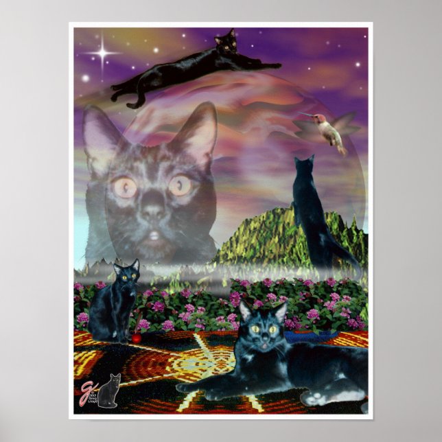 Poster do Cosmos (Frente)