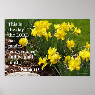 Poster do Daffodil do salmo 118