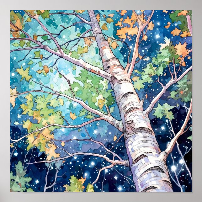 Poster do Declive da Paisagem da Noite (Frente)