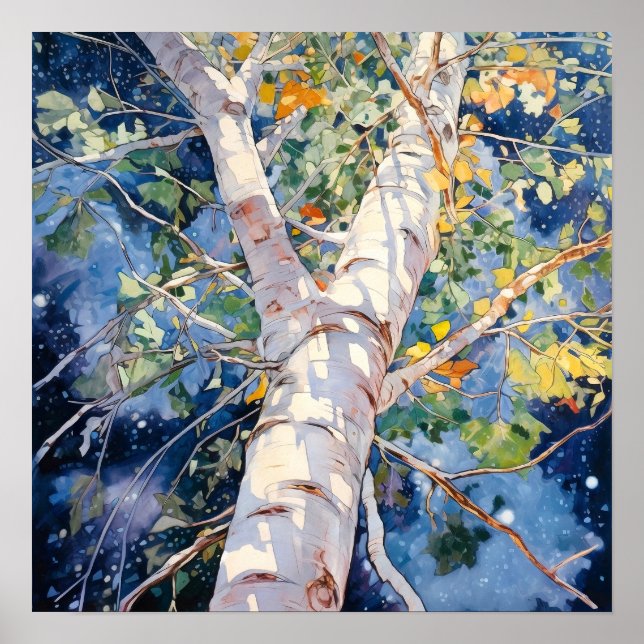 Poster do Declive da Paisagem da Noite (Frente)