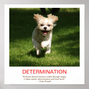 Poster do demotivational da DETERMINAÇÃO