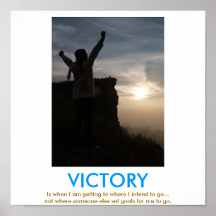 Poster do demotivational da VITÓRIA