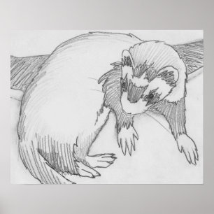 Poster do desenho da doninha do "bebê"