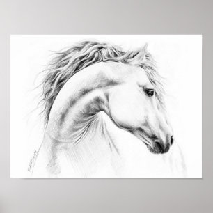 Poster do desenho de lápis do retrato do cavalo