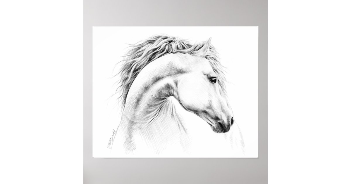 Poster Do Desenho De Lapis Do Retrato Do Cavalo Zazzle Com Br Aposto que você vai conseguir facilmente. poster do desenho de lapis do retrato do cavalo zazzle com br