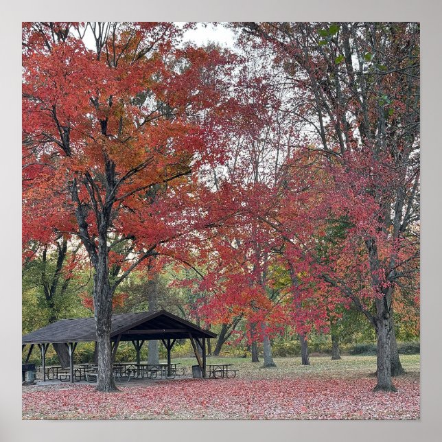 Poster do Dia do Parque de outono (Frente)