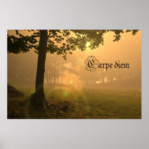 Poster do diem de Carpe