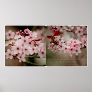 Poster do Diptych de Sakura